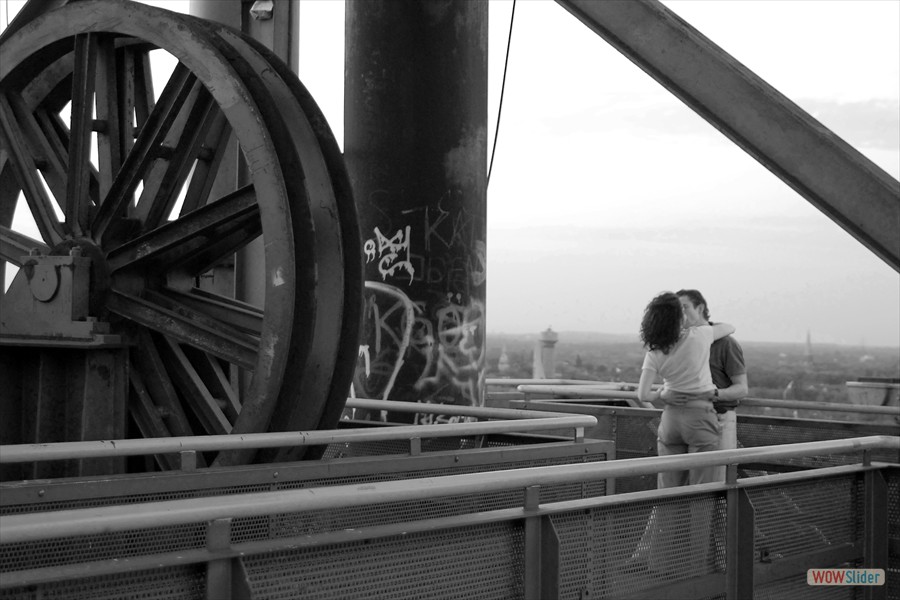 _DSC4365 sw b