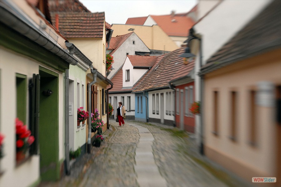 DSC_1087-Bearbeitet